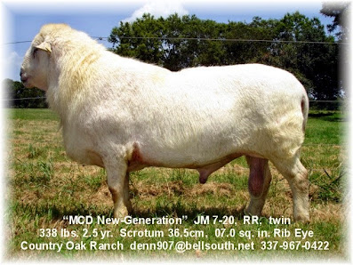 24153 4ac20cb7086b