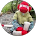 25555 bf1bdf1fbad9