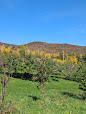 27282 0b2732e63177