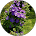 37173 ef3d5eb38606