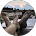 42926 a0002c84ffed