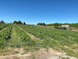 43483 6e790f5082a3