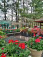 44974 7aae0625d6ec