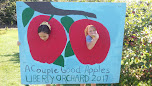 44998 5ca283196ad1