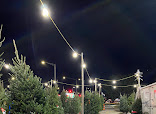 45456 3a9530c271f1