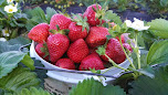46186 73346ca96d8f