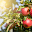 48697 6a5ed5200f47