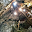 48760 3cd2d18338c2