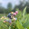 49676 60f2016c2725