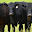 49685 c5e3480dd2e6